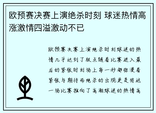 欧预赛决赛上演绝杀时刻 球迷热情高涨激情四溢激动不已